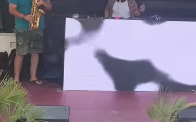 Unveiling the Best DJ-Saxophone Duo in New Orleans and the Gulf South